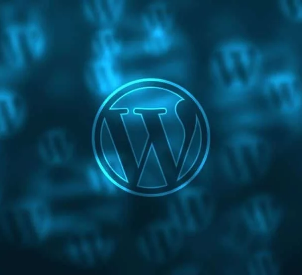 WordPress Plugins im Überblick mit Waconser